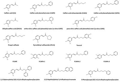 Cardiovascular Effects of Caffeic Acid and Its Derivatives: A Comprehensive Review